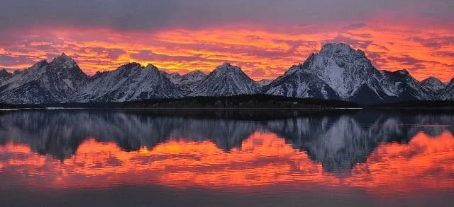 Contact Jackson Hole Bat Removal