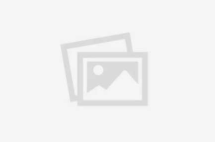 Jackson Hole Bat Removal Warranty